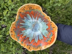 Gyvenimo prabanga - iš tamsos į šviesą, iš praeities į ateitį.Amžinosios vertybės . BALANSAS.